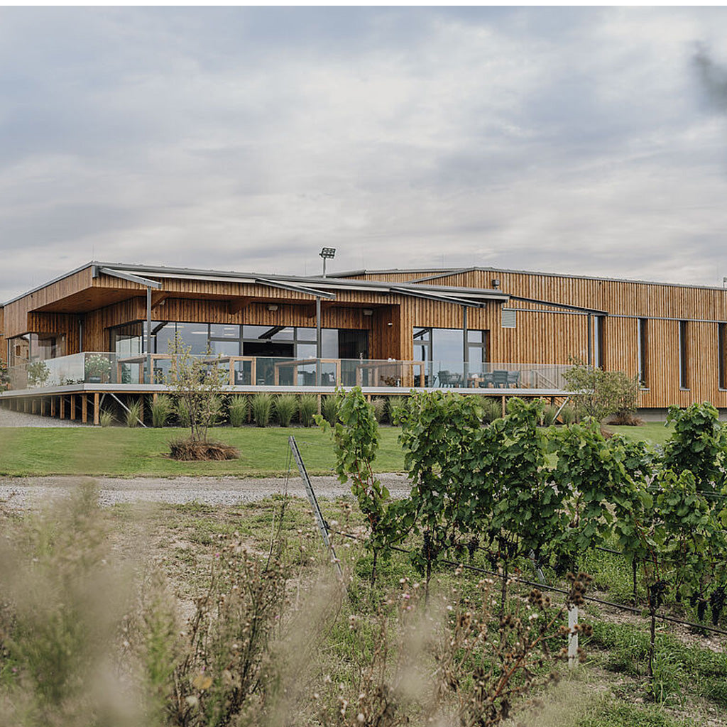 Weingut Allacher