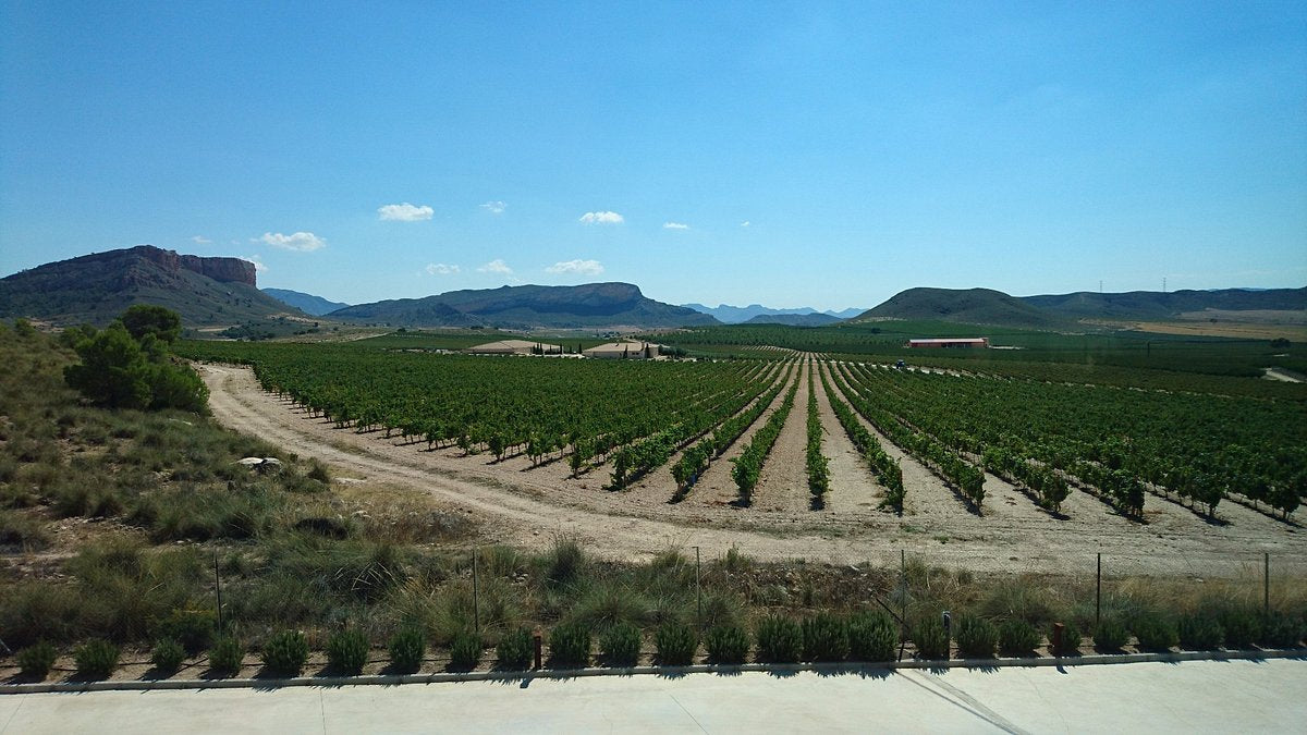 Bodegas Juan Gil