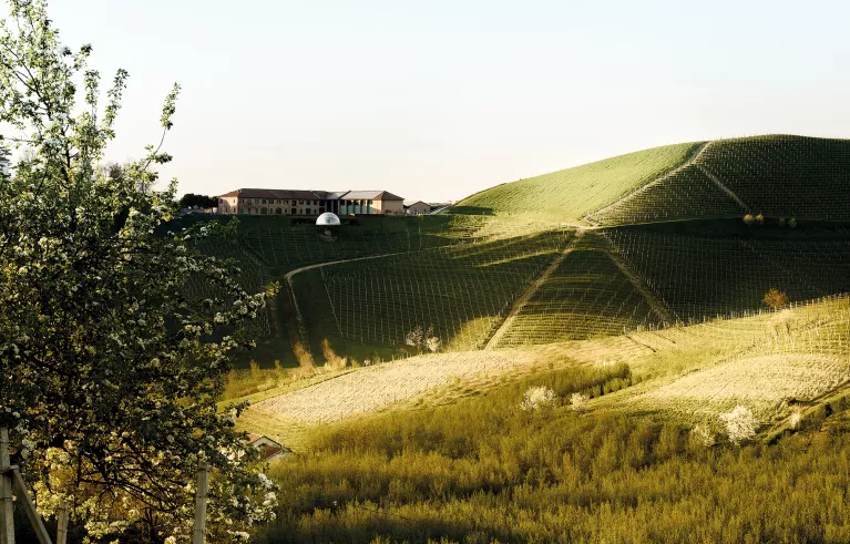 Ceretto – Piemont, Italien
