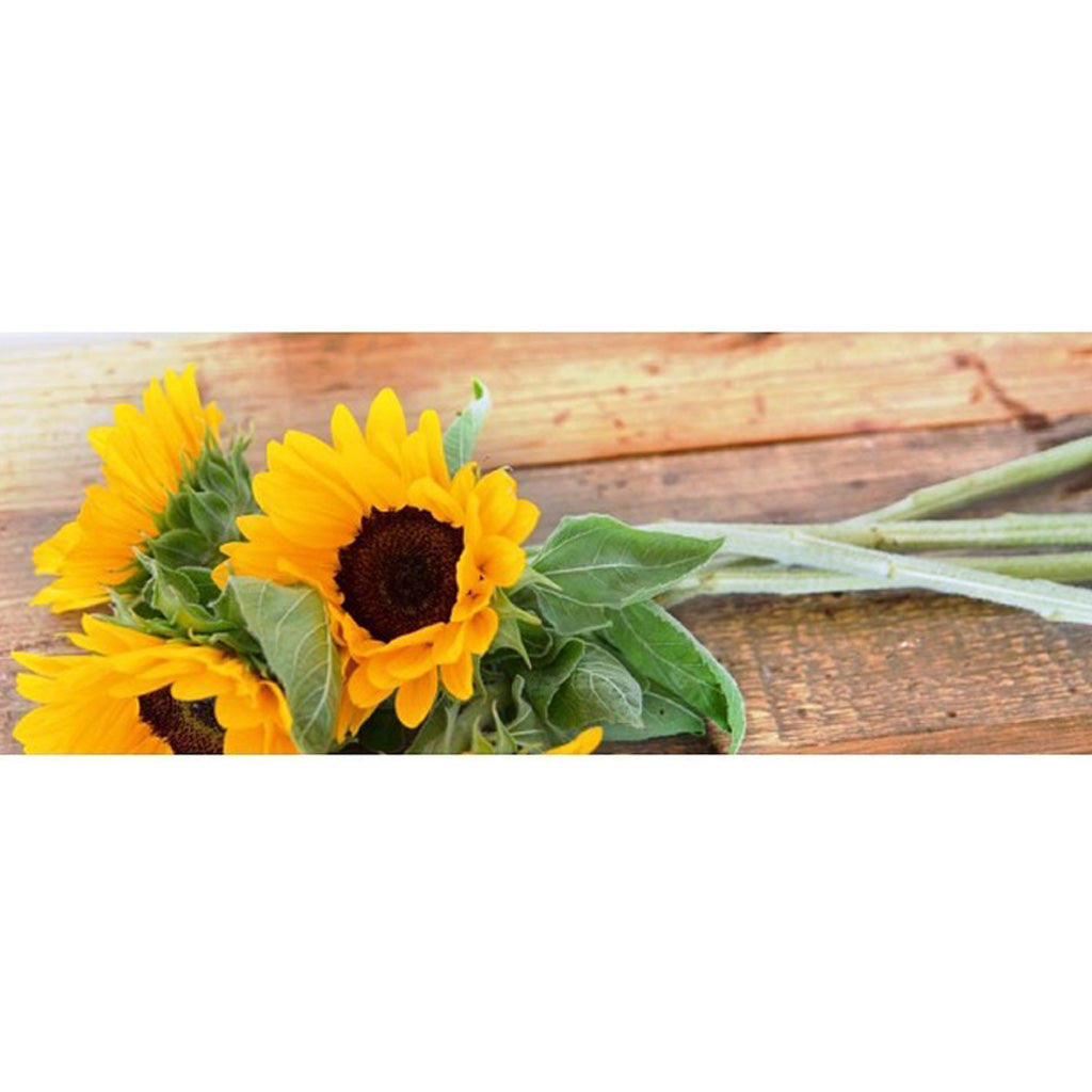 Grusskarte Sonnenblume