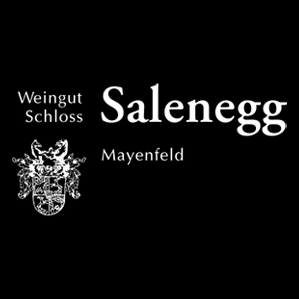 Schloss Salenegg Maienfeld