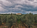 Aia Vecchia