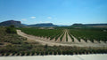 Bodegas Juan Gil