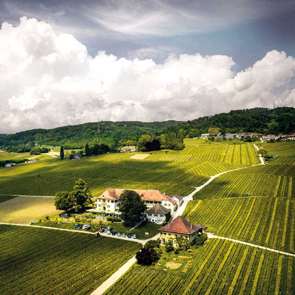 Château de Châtagneréaz Viognier Grand Cru Mont-sur-Rolle La Côte AOC 75 cl