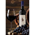 I Due Ricu Langhe Rosso DOC – Marziano Abbona, Stimmungsbild