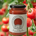 Bio-Tomatensauce mit frischem Basilikum von Prunotto aus Alba im Piemont